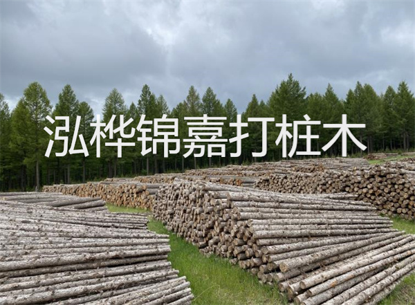 解鎖性價(jià)比之選，50厚菠蘿格防腐木價(jià)格實(shí)惠