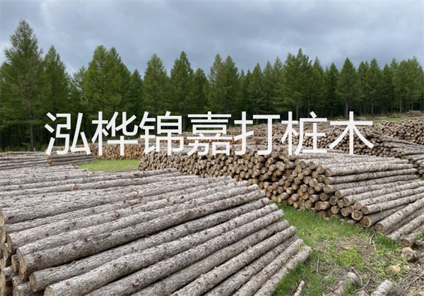 桐木板材和松木板材哪個(gè)好-如何選擇適合自己的木板材料？