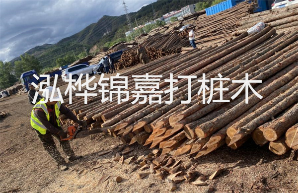 松木寄生價(jià)格多少錢一斤？！